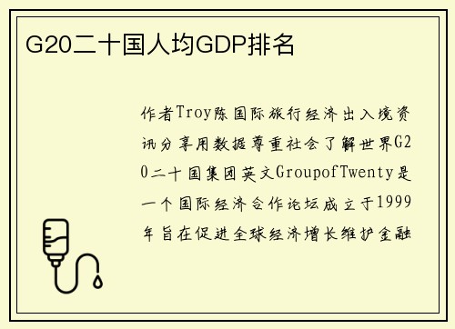 G20二十国人均GDP排名
