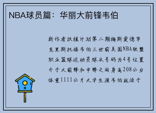 NBA球员篇：华丽大前锋韦伯